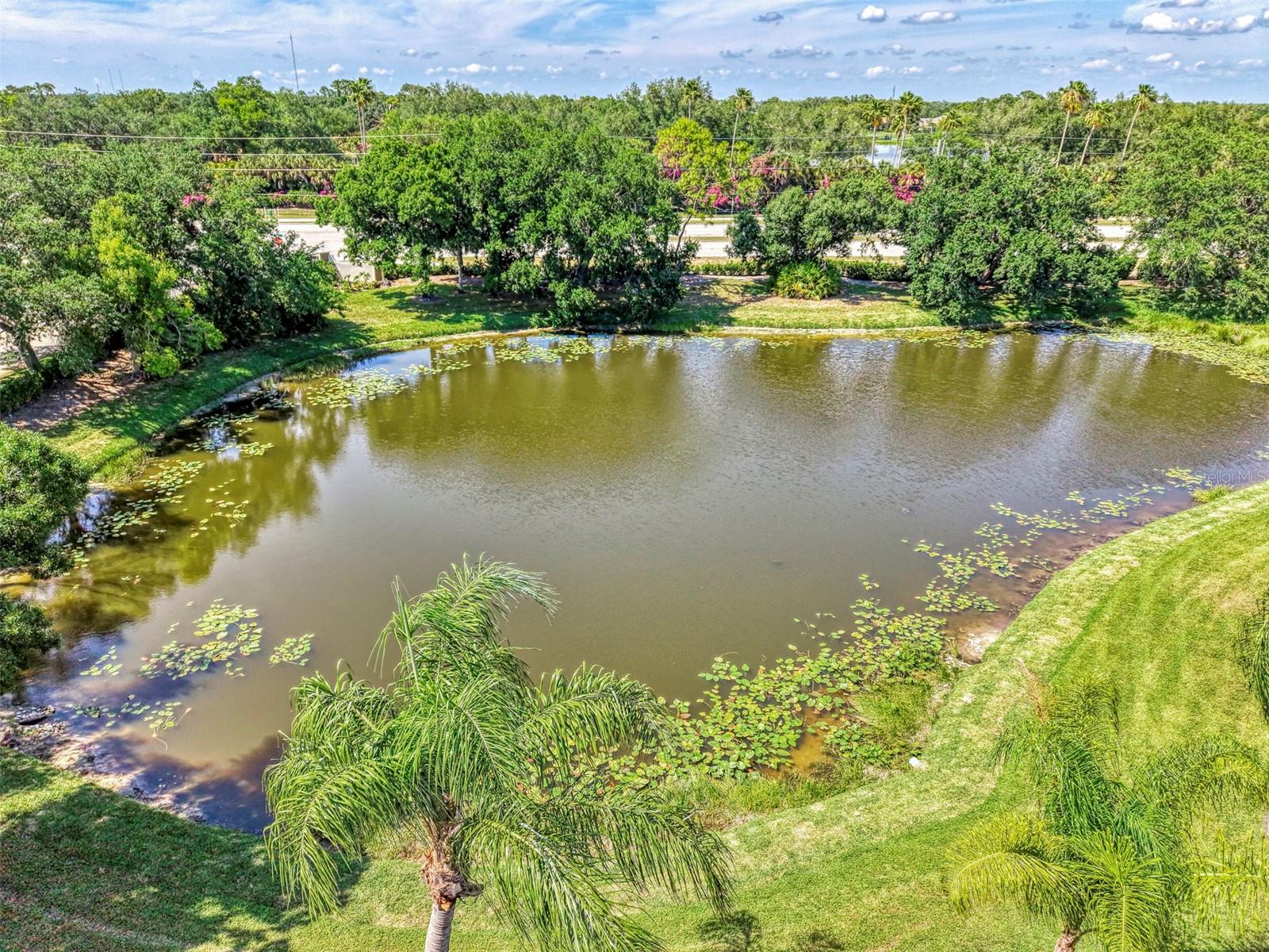 WEST LAKE GARDENS ST ANDREWS PARK - Residential