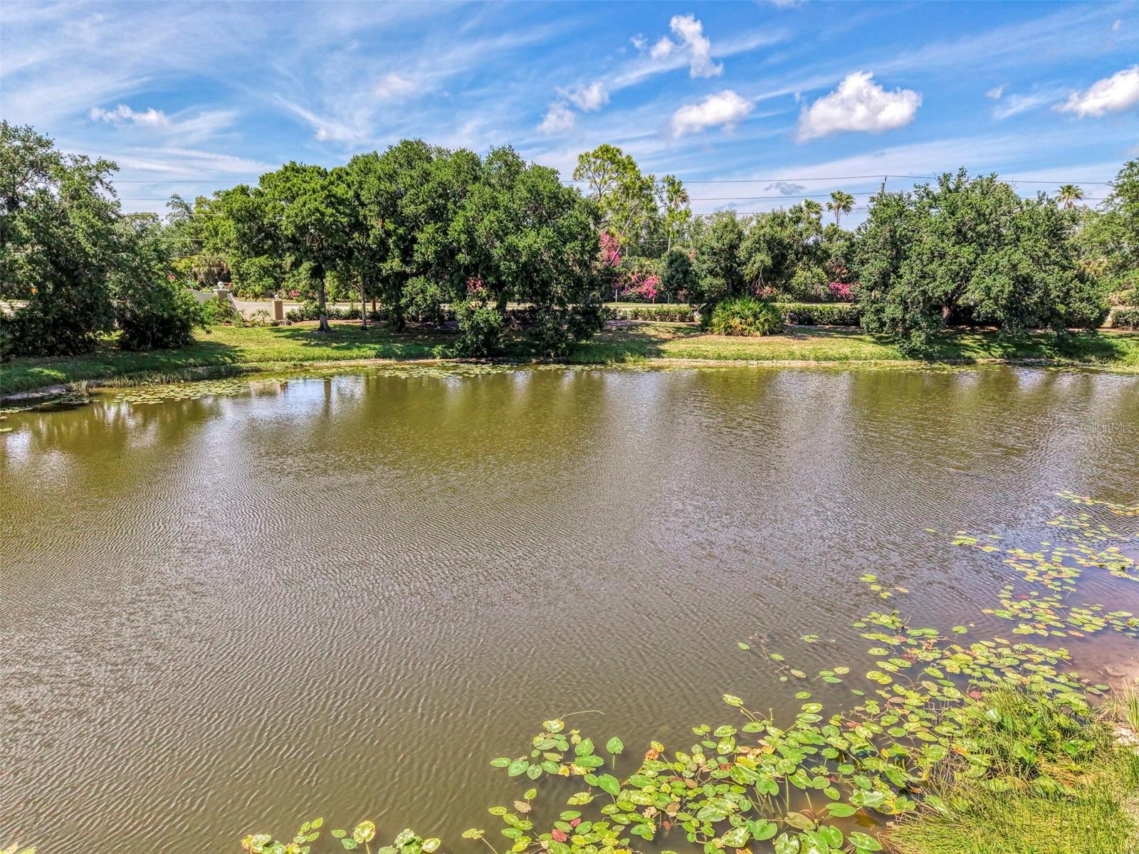 WEST LAKE GARDENS ST ANDREWS PARK - Residential