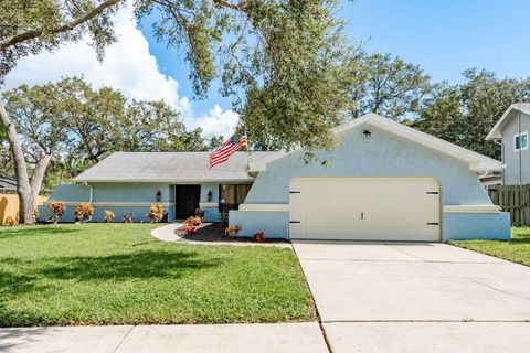 Photo of 2830 Valencia Lane W, Palm Harbor, FL 34684 (MLS # TB8483531)