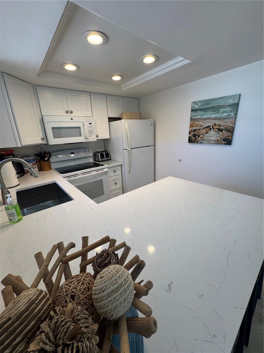 LAKE TARPON VILLAS CONDO - Residential Lease