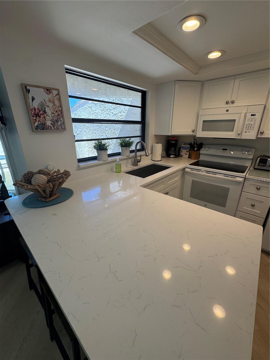 LAKE TARPON VILLAS CONDO - Residential Lease