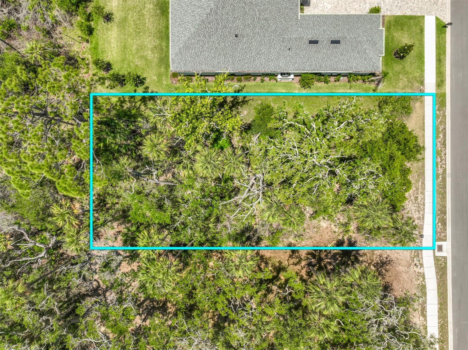 PALM COAST PLANTATION - Land