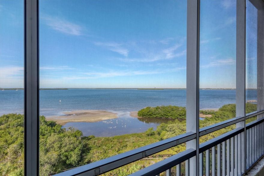 Enjoy the Florida lifestyle in this 3 bedroom, 2 bath penthouse residence in Bay Pointe at Terra Ceia. With panoramic views of Terra Ceia Bay and the Terra Ceia Aquatic Preserve, you’ll enjoy watching the pelicans and dolphins as well as other wildlife at play. In the distance, the Sunshine Skyway bridge is colorfully lit up at night. Enjoy the sunrise from your front walkway and the sunset from your private screened balcony. This condo has been extensively improved by the current owners to include new LED lighting throughout, wood look tile to replace carpet in bedrooms, LG induction range, motorized Hunter Douglas shades in great room, HD blinds in bedrooms, new A/C in 2021, and neutral painted walls, trim & ceiling. Multiple Wi-Fi access points were added for better coverage, as well as 1GB hardwired computer network (cat 5e cabling in walls) and Leviton powered low voltage cabinet to house components and connections. A detailed list with many more improvements is attached to the listing. One assigned parking space along with large storage enclosure are included with this residence. Bay Pointe is a 100percent smoke free property. Conveniently located in close proximity to St Pete’s vibrant downtown with plenty of dining, shopping and entertainment options, this home is situated in historic Palmetto with beautiful waterfront restaurants, marinas, quaint shops and parks. Bay Pointe is within the gates of Terra Ceia Bay Country Club where you can enjoy a round of golf on the public golf course or dine in the clubhouse restaurant. Members also enjoy use of the fitness center and tennis/pickle ball courts. Bay Pointe Association just completely renovated their pool, spa and deck and have a new roof completed in 2024. These improvements are all fully funded. Structural Integrity Reserve Study has been completed and Bay Pointe is in excellent condition. Study report is available upon request. Enjoy the Florida lifestyle in this beautifully maintained waterfront condo!