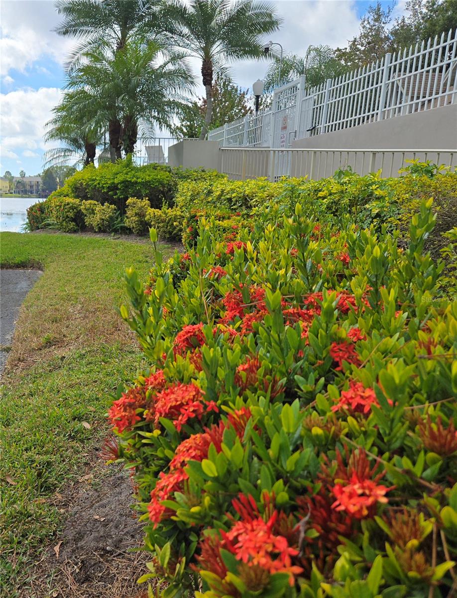 WESTCHESTER LAKE TWNHMS - Residential