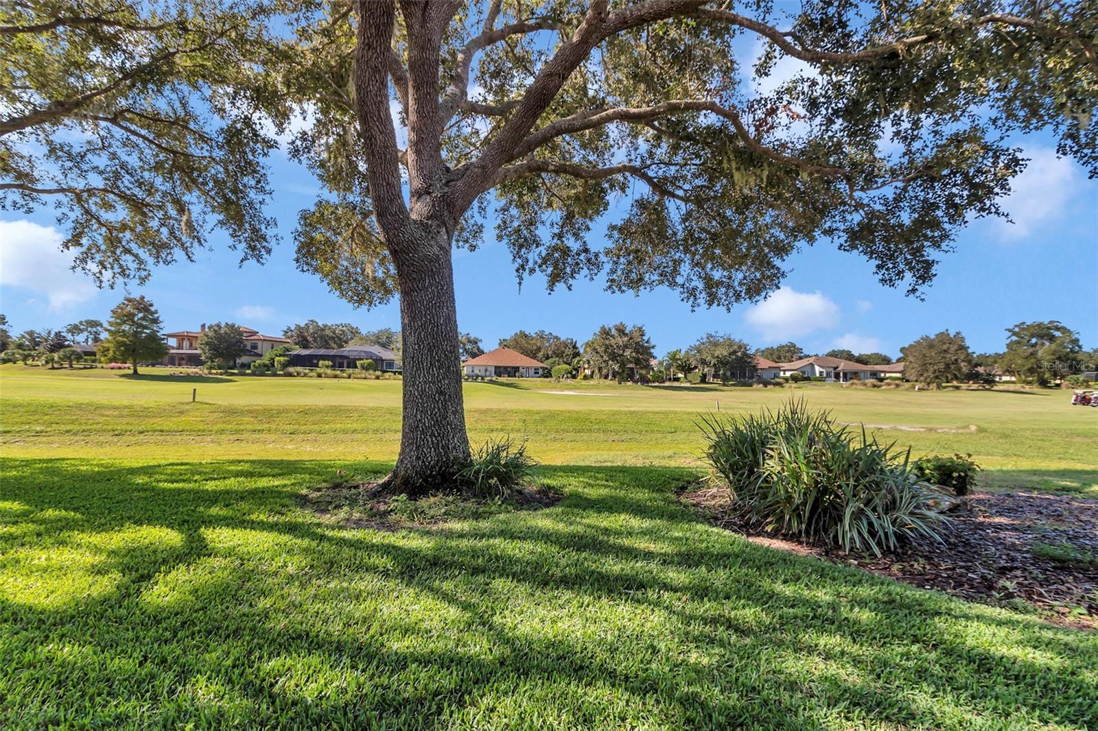 HARBOR HILLS THE GROVE - Residential