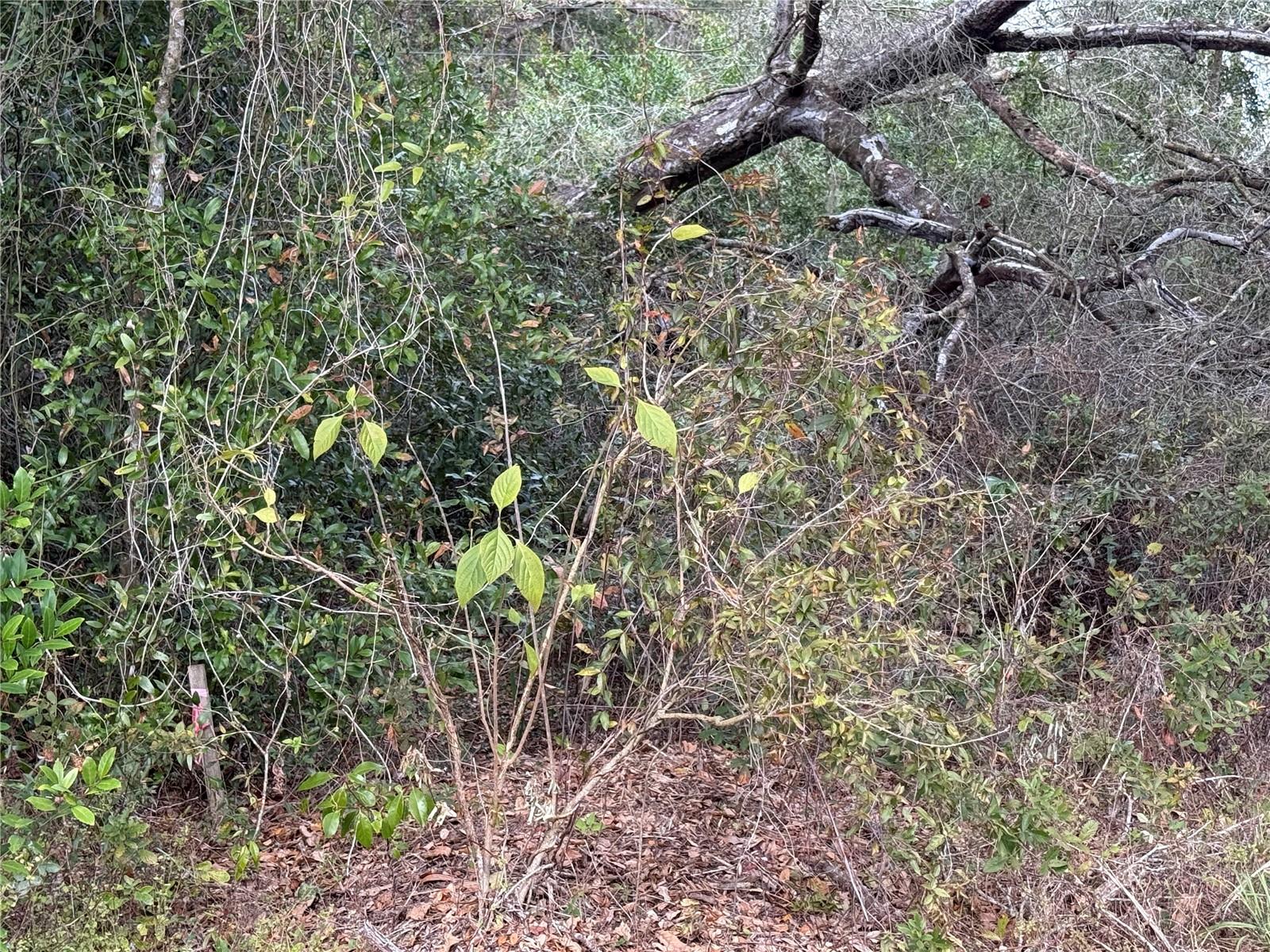 RIVERDALE SEC 1 - Land