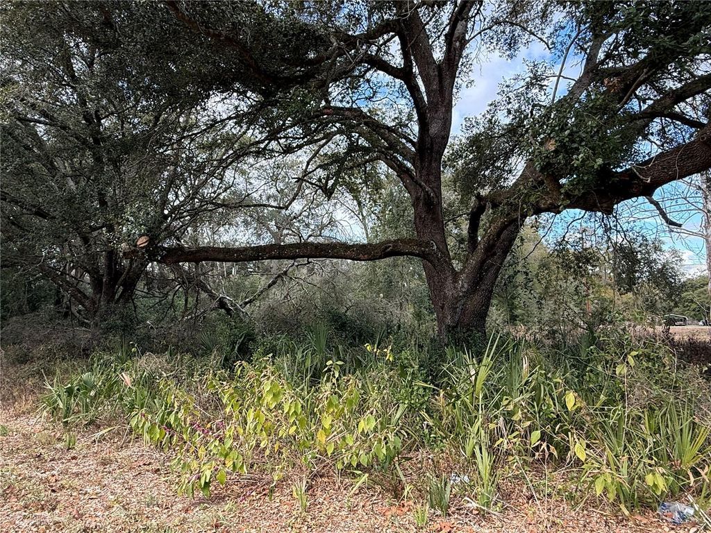 Photo of 0 Hilda Rd, Dade City, FL 33523 (MLS # TB8479212)