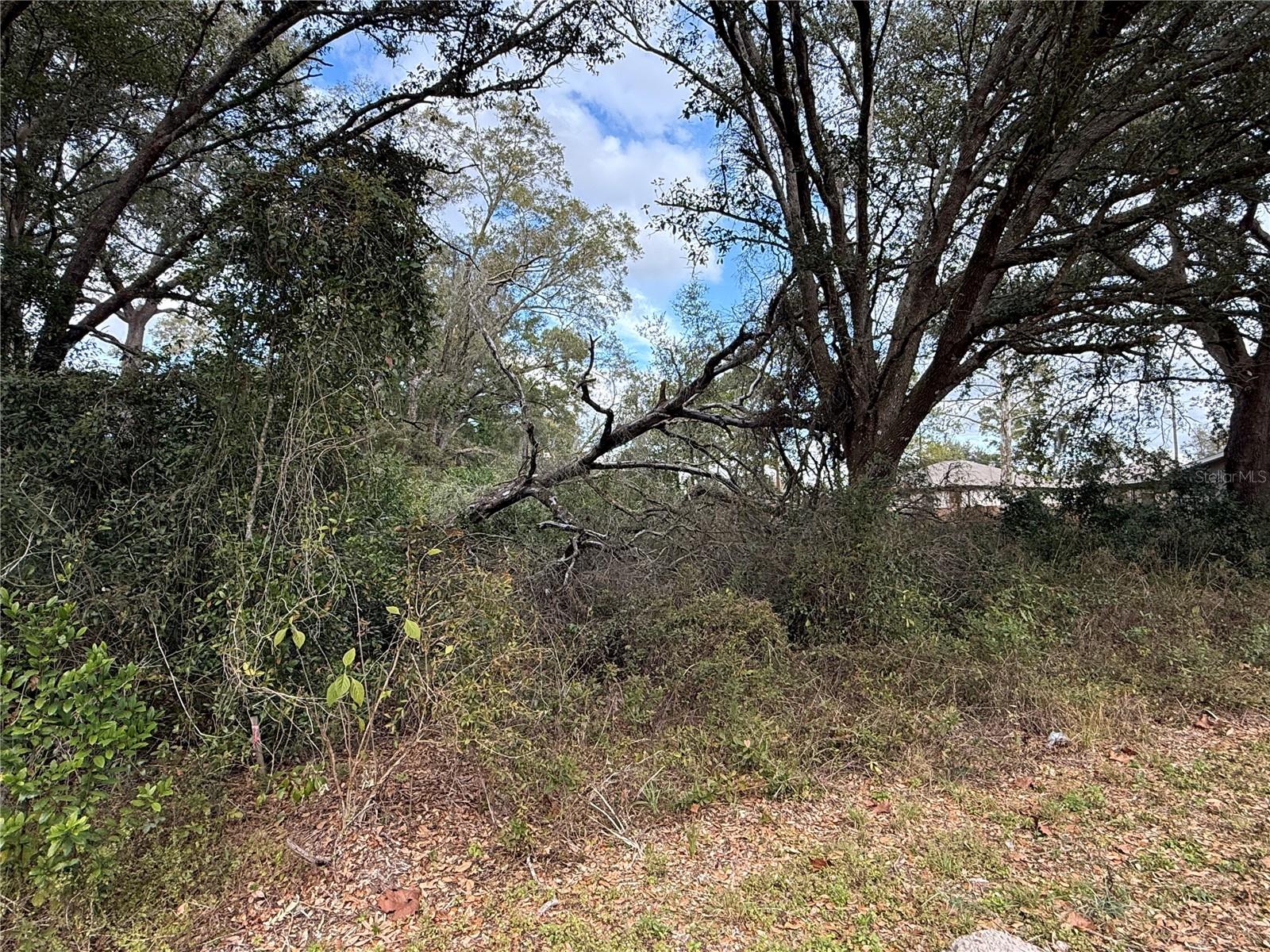 RIVERDALE SEC 1 - Land