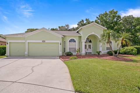 A home in WESLEY CHAPEL