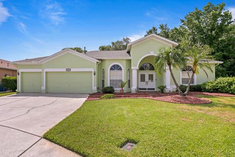 A home in WESLEY CHAPEL