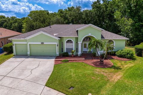 A home in WESLEY CHAPEL