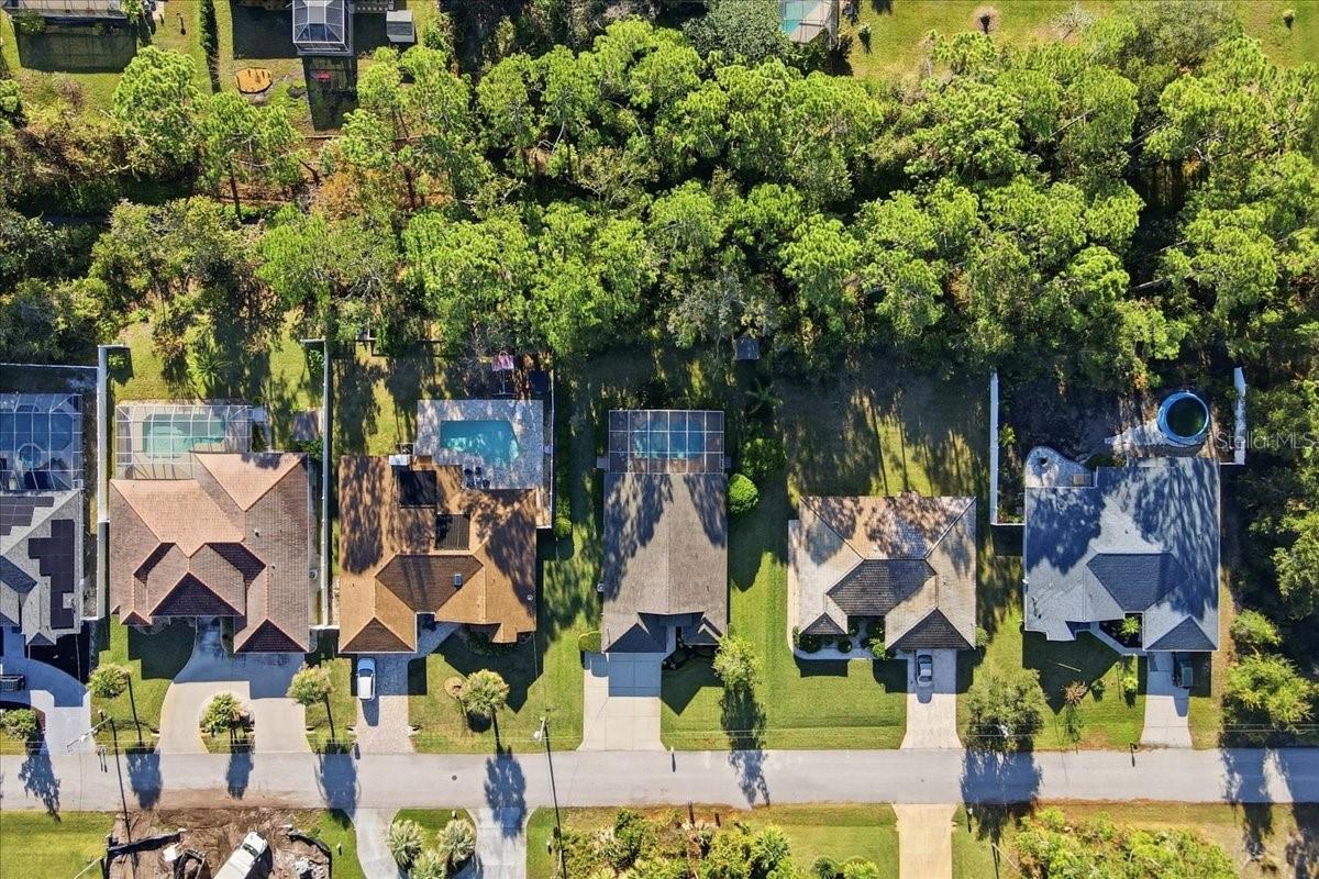 PALM HARBOR - Residential