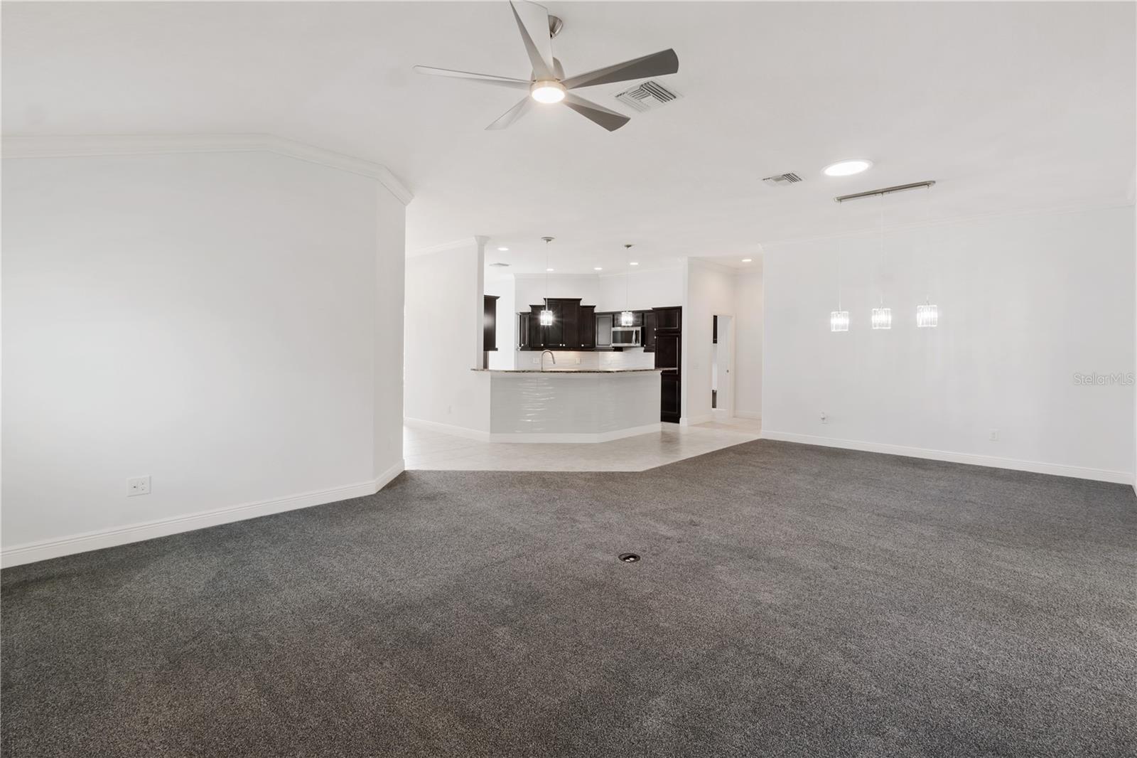 VILLAGES/SUMTER - Residential