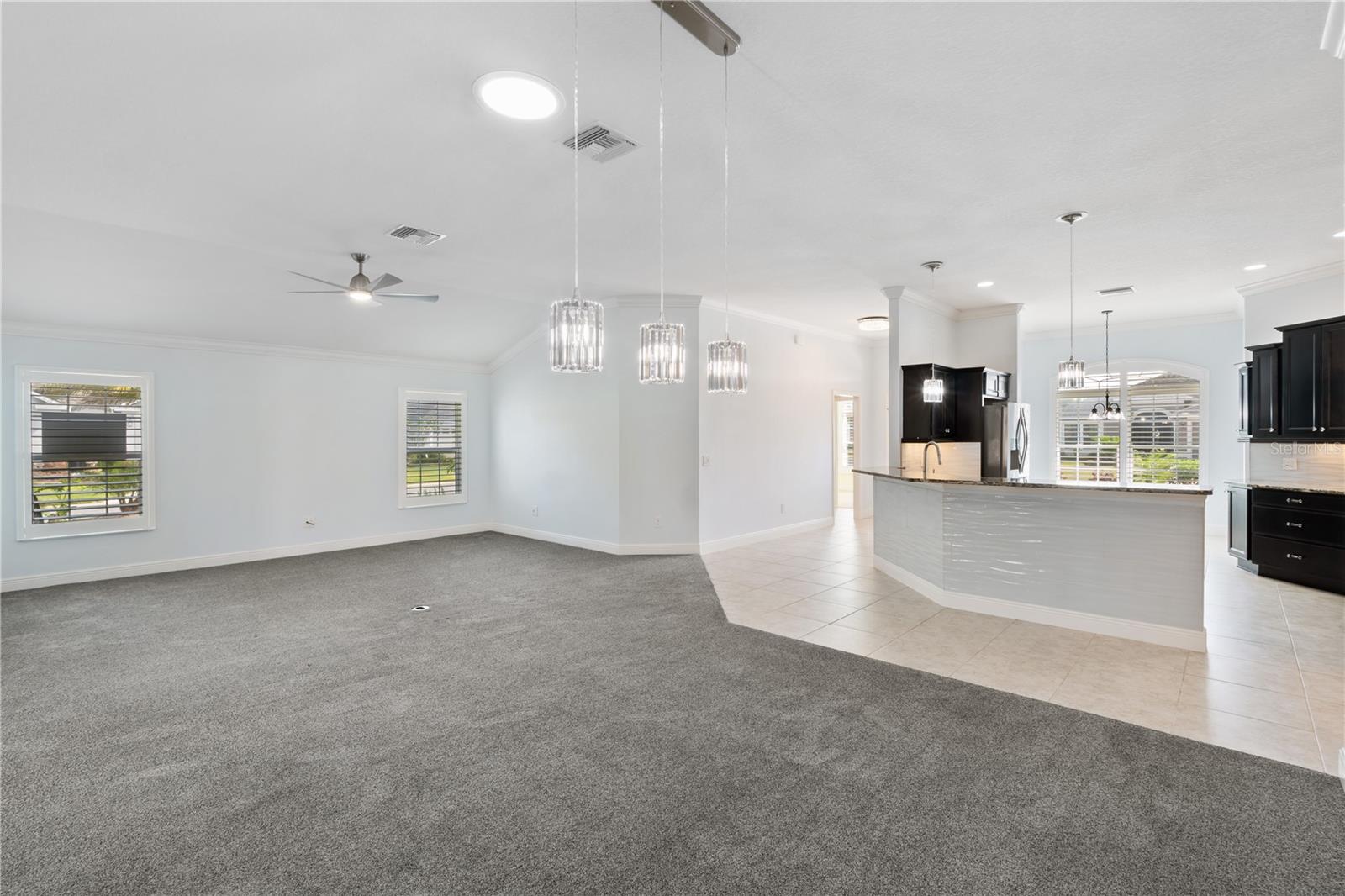 VILLAGES/SUMTER - Residential