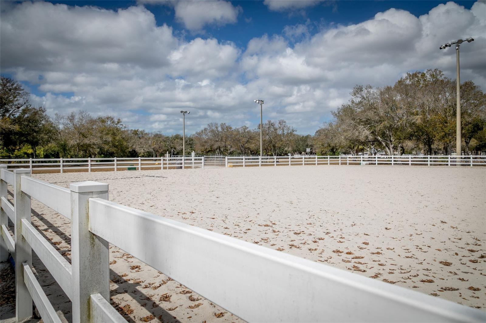 LAKE FOREST CONDO - Residential
