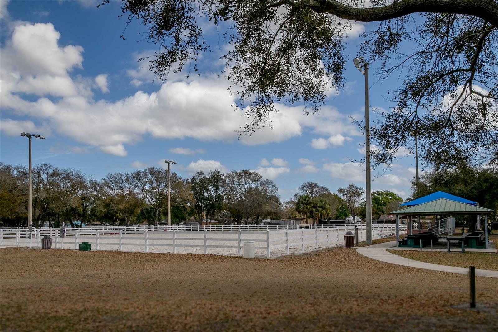 LAKE FOREST CONDO - Residential