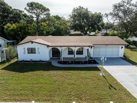 1131 STILLWATER DELTONA FL 32725