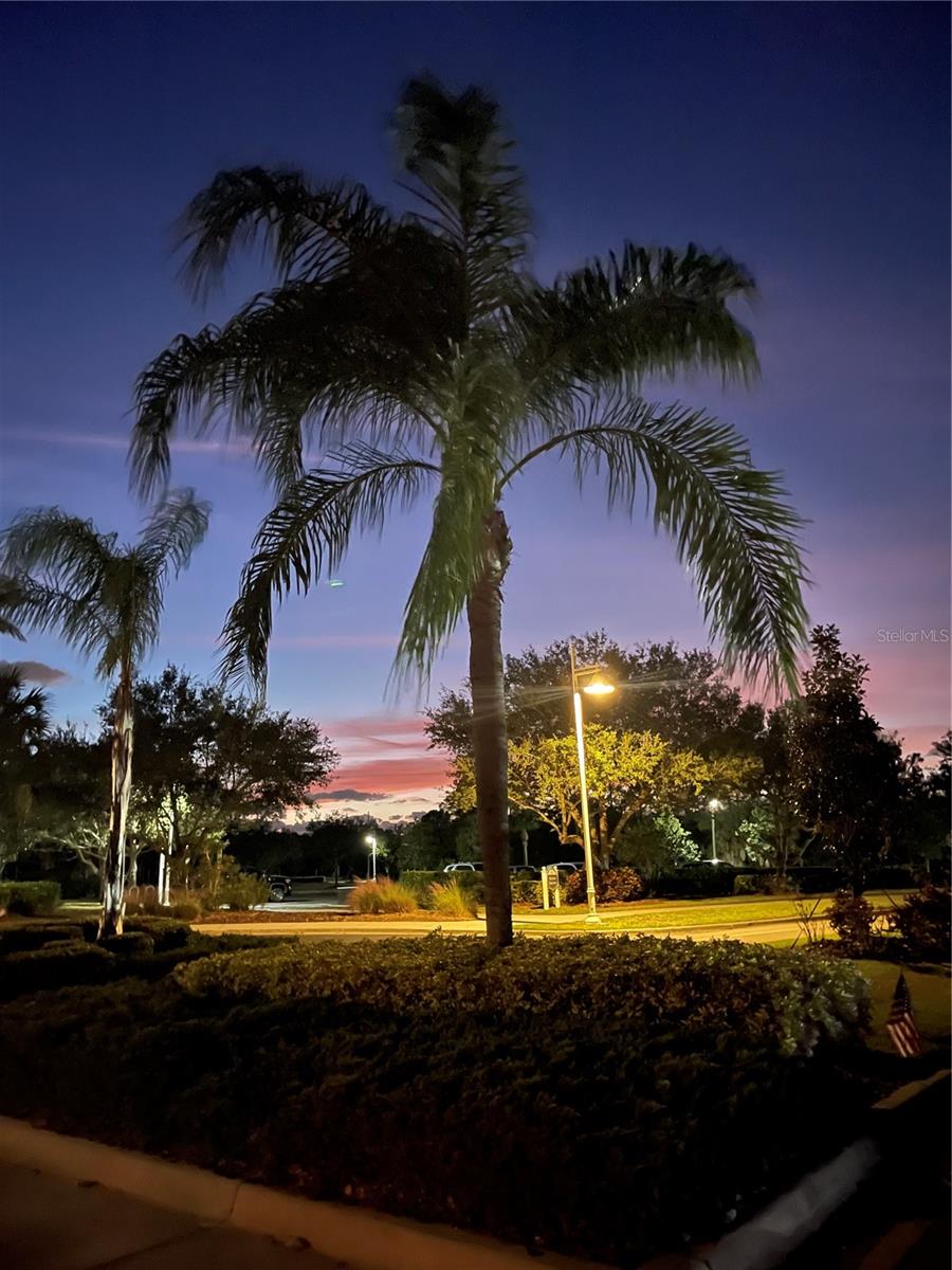 GRAND PALM PH 2B - Residential Lease