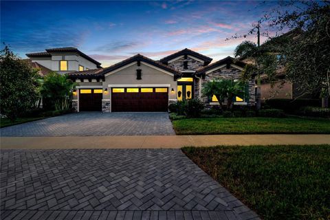 11339 HAWKS FERN DRIVE RIVERVIEW FL 33569