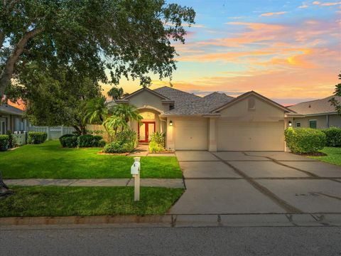 A home in LAND O LAKES