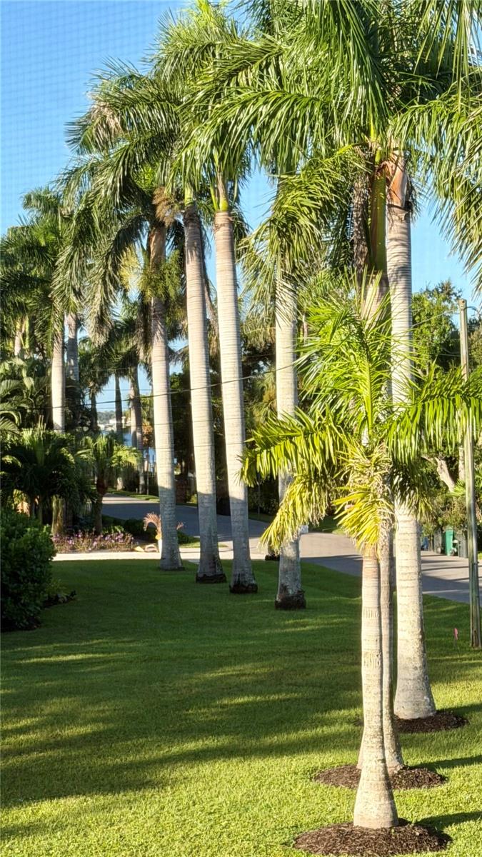 ANDRESS - Residential