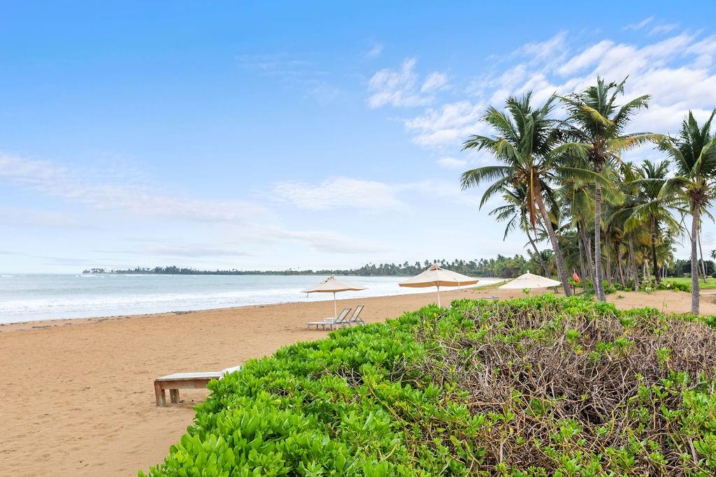 ST. REGIS BAHIA BEACH - Residential