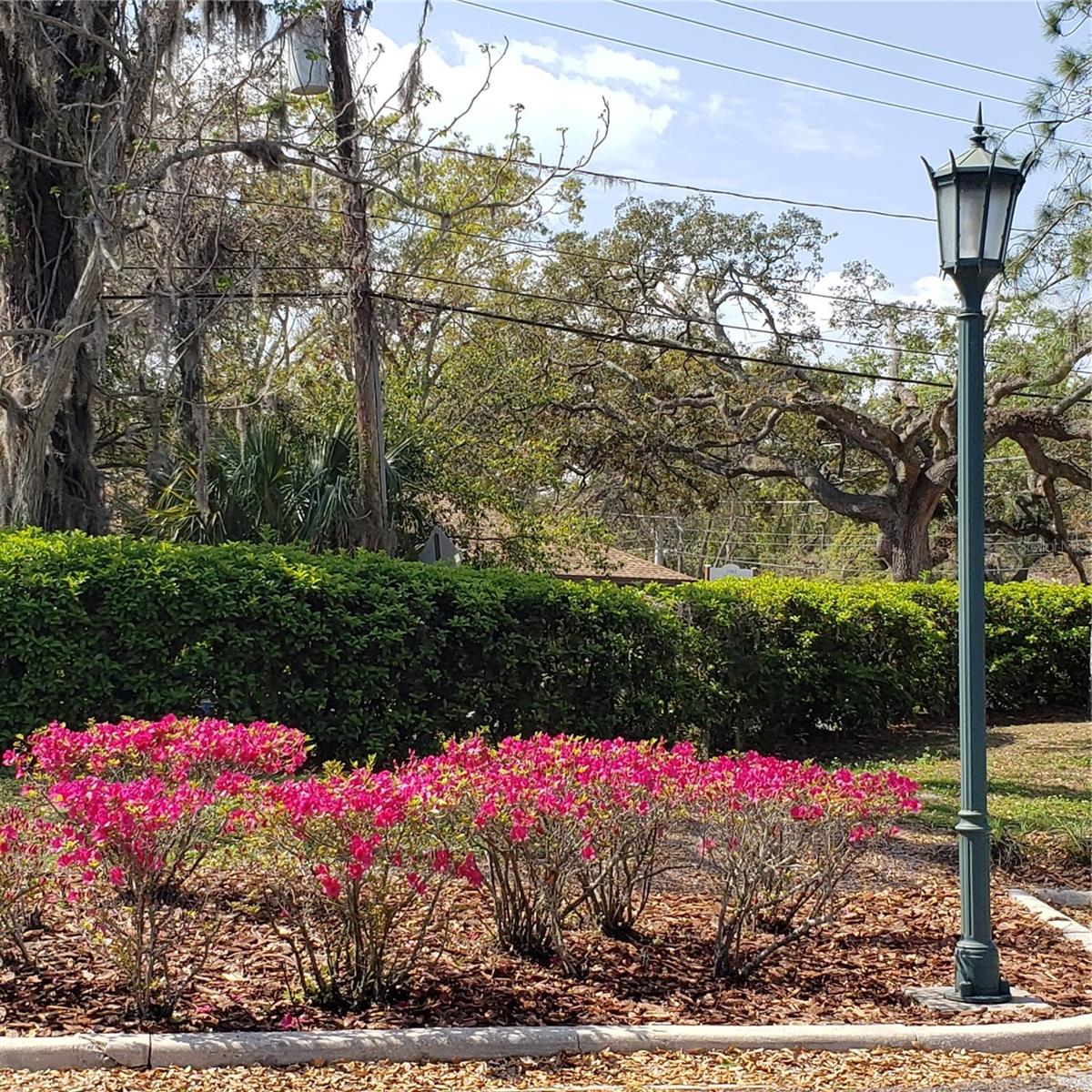 UNPLATTED - Commercial Sale