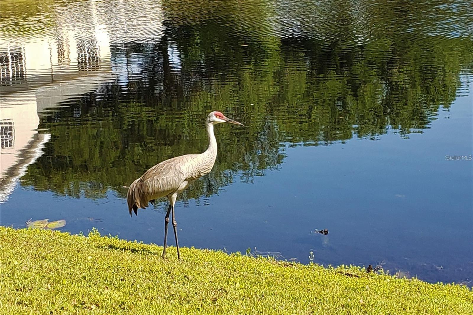 UNPLATTED - Commercial Sale