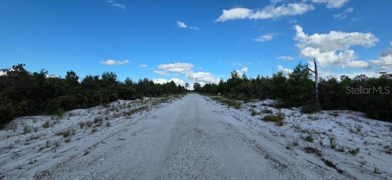 INDIAN LAKE ESTATES - Land