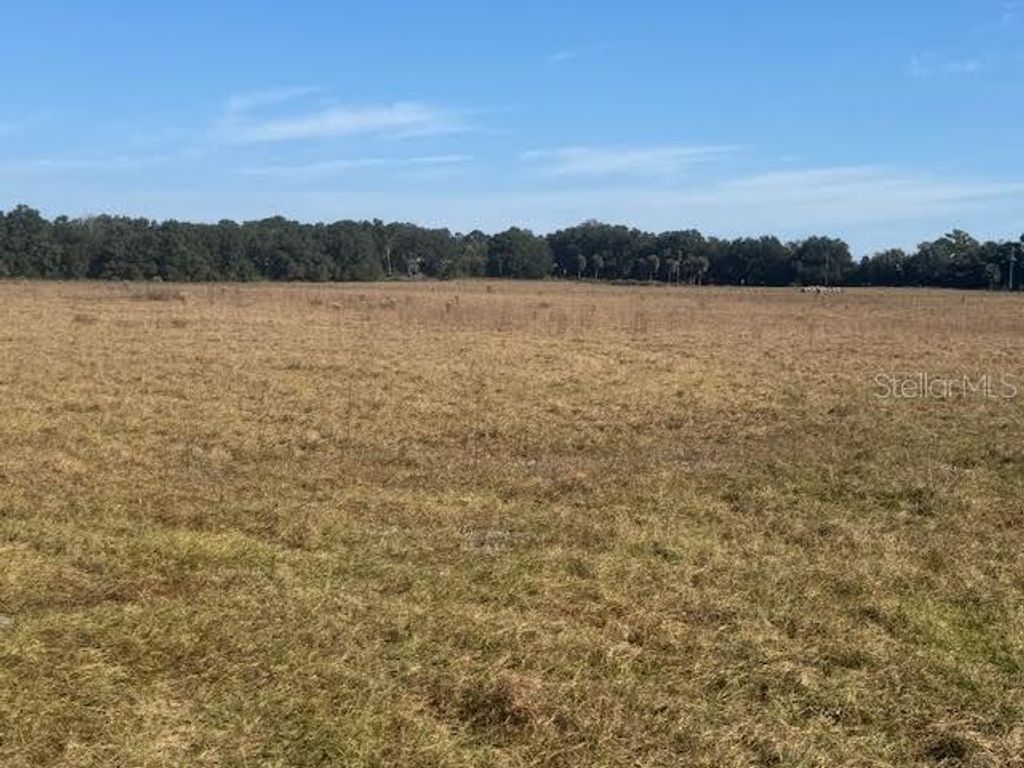 Photo of Tbd NE 141st Street, Citra, FL 32113 (MLS # OM714296)