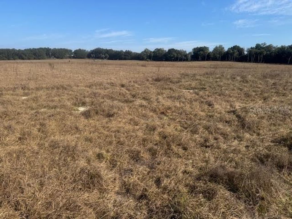 Photo of Tbd NE 141st Street, Citra, FL 32113 (MLS # OM714296)