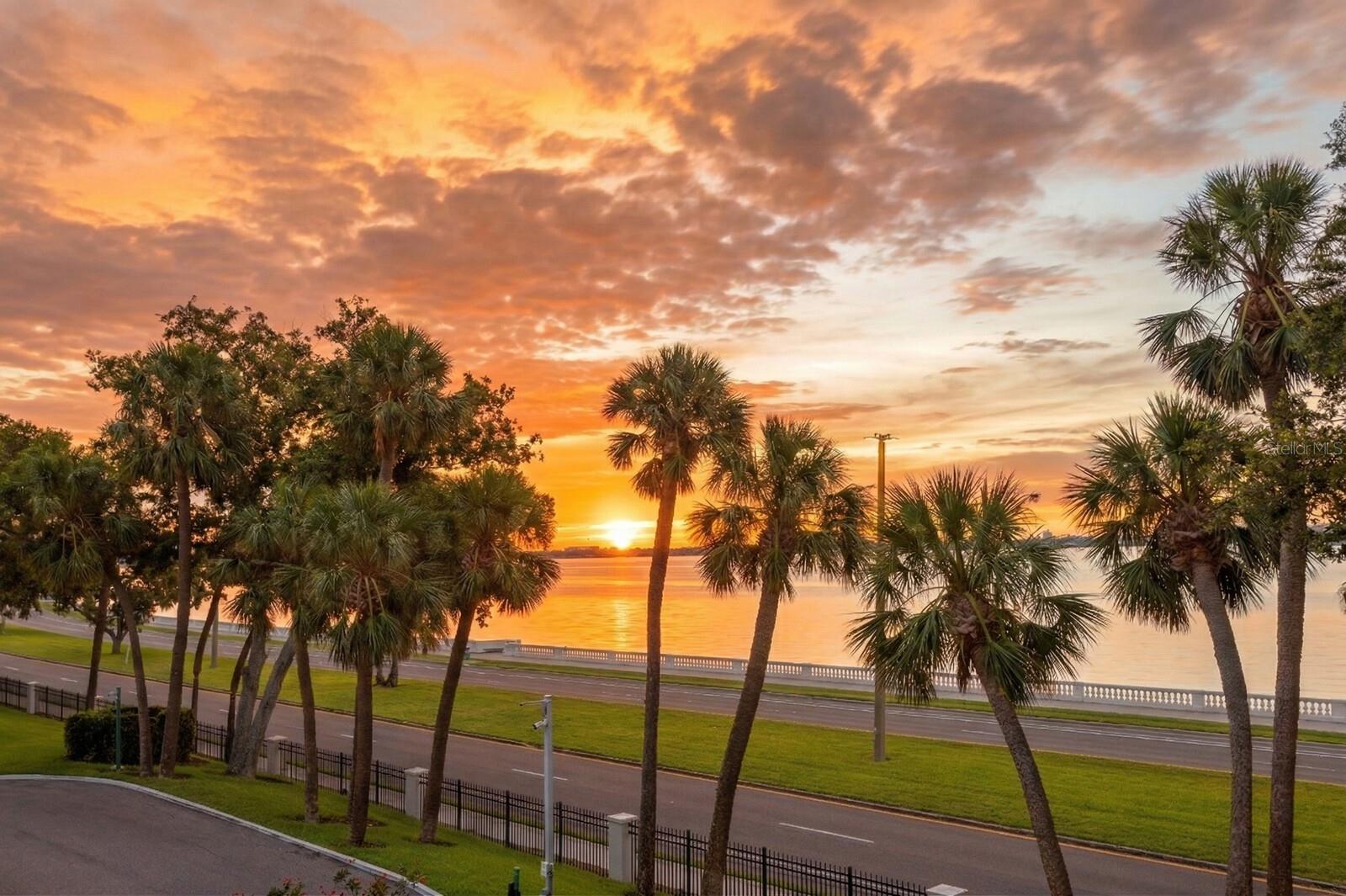 THE SANCTUARY AT ALEXANDRA PLACE - Residential