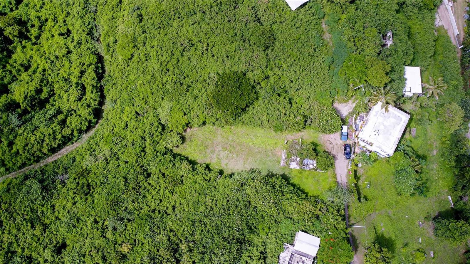 309 CALLE PAPO FOSTER