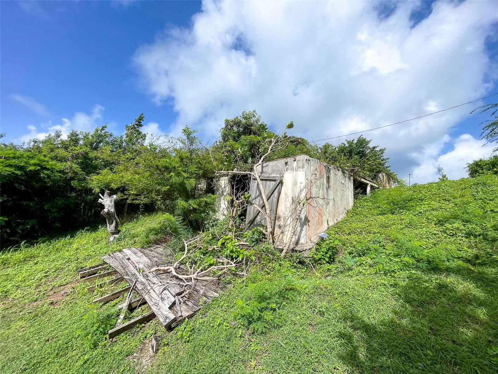 309 CALLE PAPO FOSTER