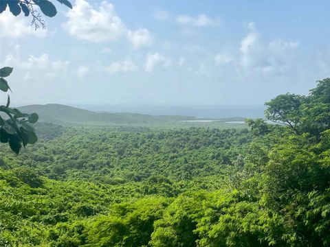 309 CALLE PAPO FOSTER VIEQUES  00765