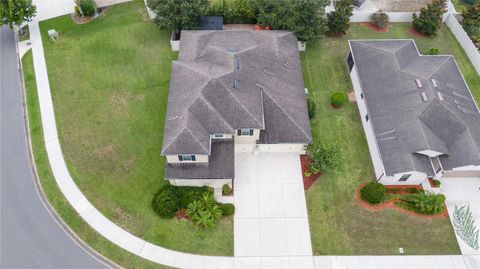 A home in MOUNT DORA