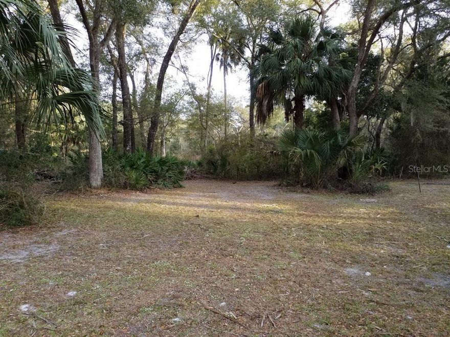This 1.17 buildable lot in the subdivision of Buck Bay features site-built homes only, underground utilities, streetlights, and county-maintained roads. Close to all amenities, shopping, dental, doctors, and restaurants. Close to Suwannee River & several natural springs and only 30 minutes to the Gulf of Mexico. Bring your boat and launch at Clay Landing only 5 minutes from the property