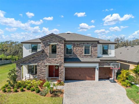 13103 WILDFLOWER MEADOW DRIVE RIVERVIEW FL 33579