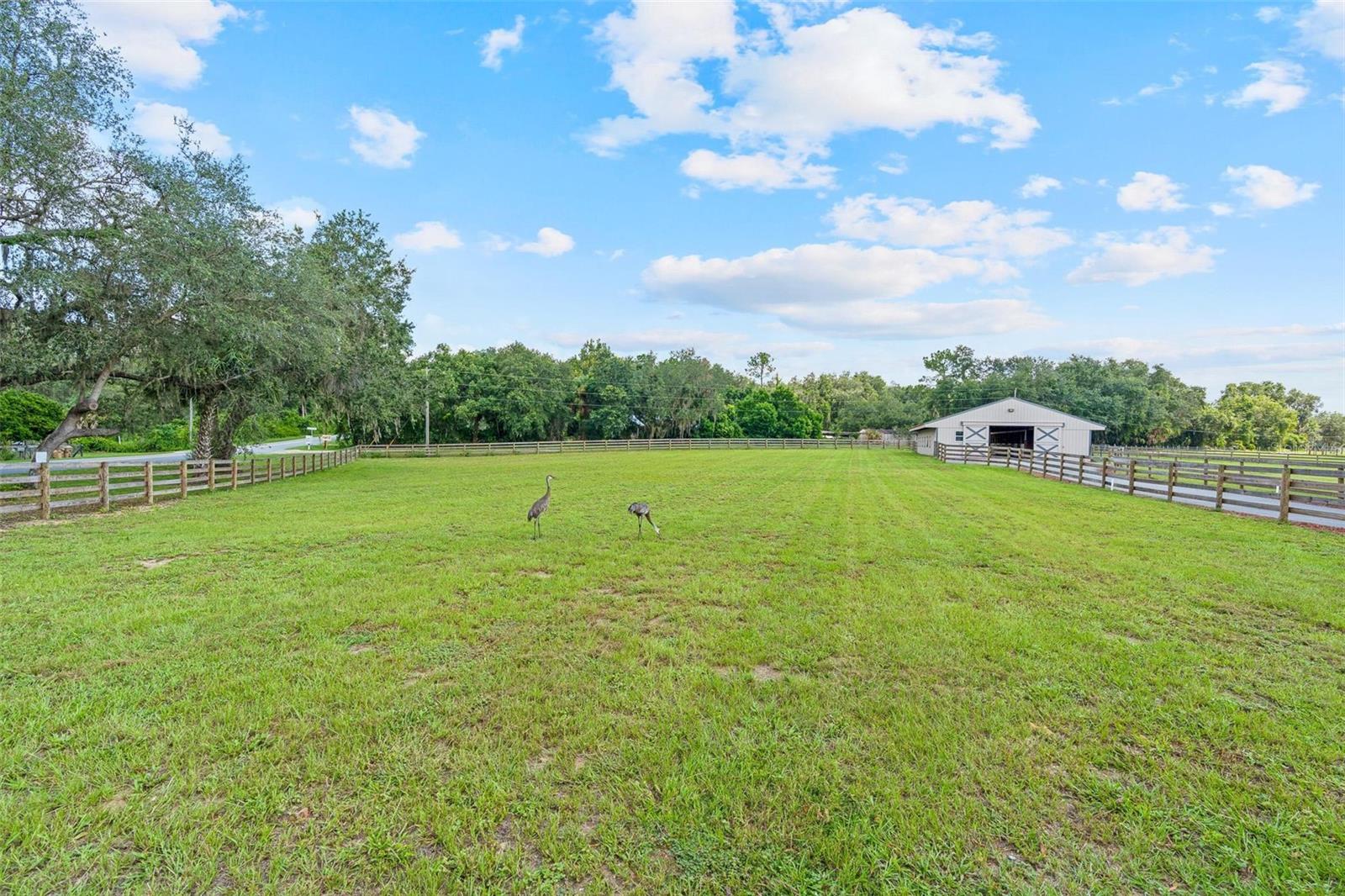 HIGLEY - Residential