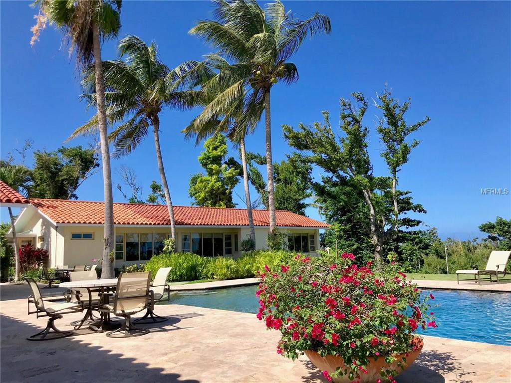 DORADO BEACH ESTATES - Residential