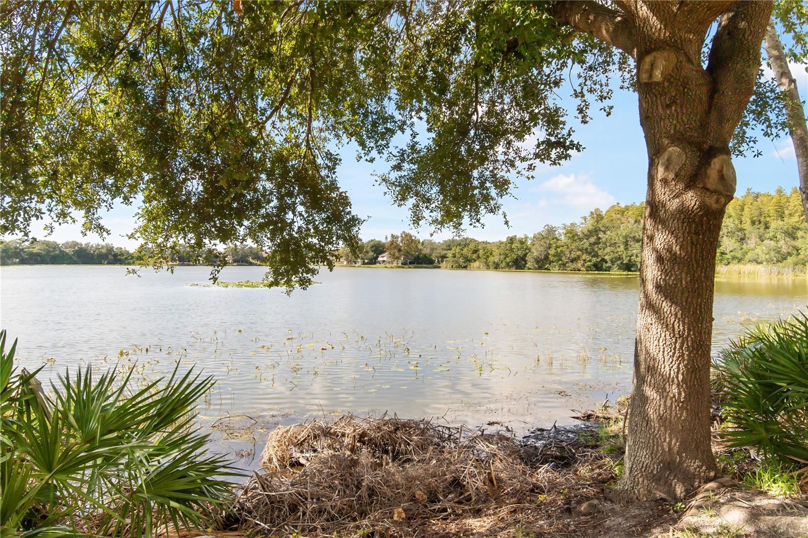 SOLANA BAY - Residential Lease