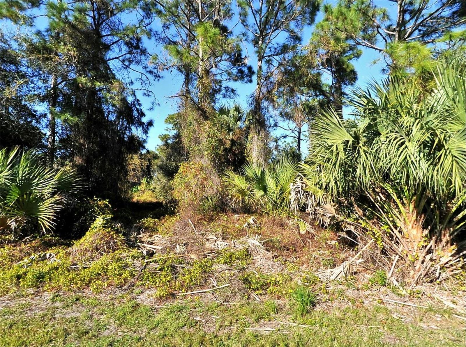 Buildable lot in Sarasota County, in a neighborhood with newer homes. Build your dream home or buy and keep in fast developing North Port! Excellent location. In close proximaty to I-75 and Tamiami Trl, easy access to shopping, restaurants, and beaches. Selling agent is responsible for verifying all information provided in this listing.