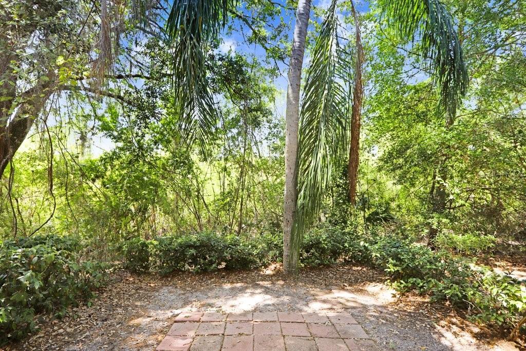 PALM VILLAS CONDO - Residential Lease