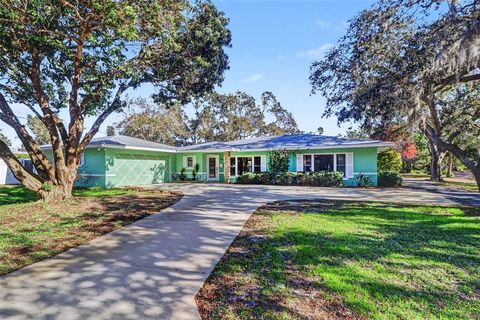 1515 SERPENTINE DRIVE S ST PETERSBURG FL 33705