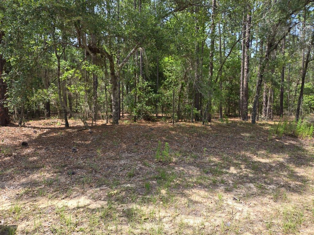 Photo of 1795 W Thumper Dr, Citrus Springs, FL 34434 (MLS # TB8385480)