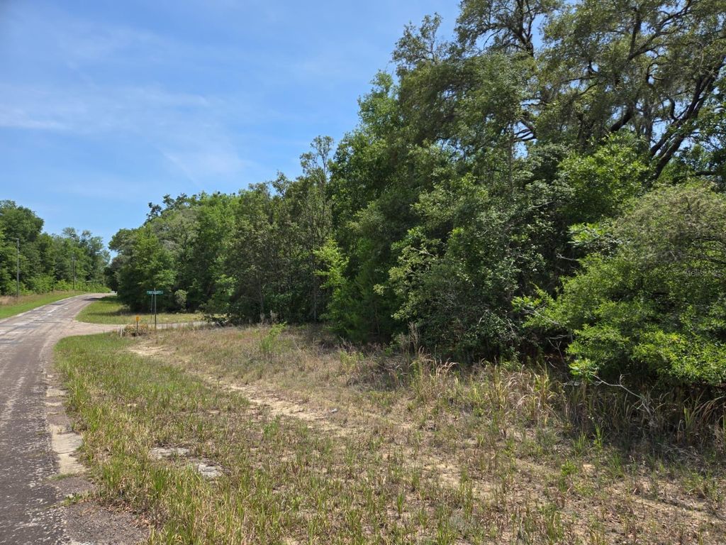 Photo of 1795 W Thumper Dr, Citrus Springs, FL 34434 (MLS # TB8385480)