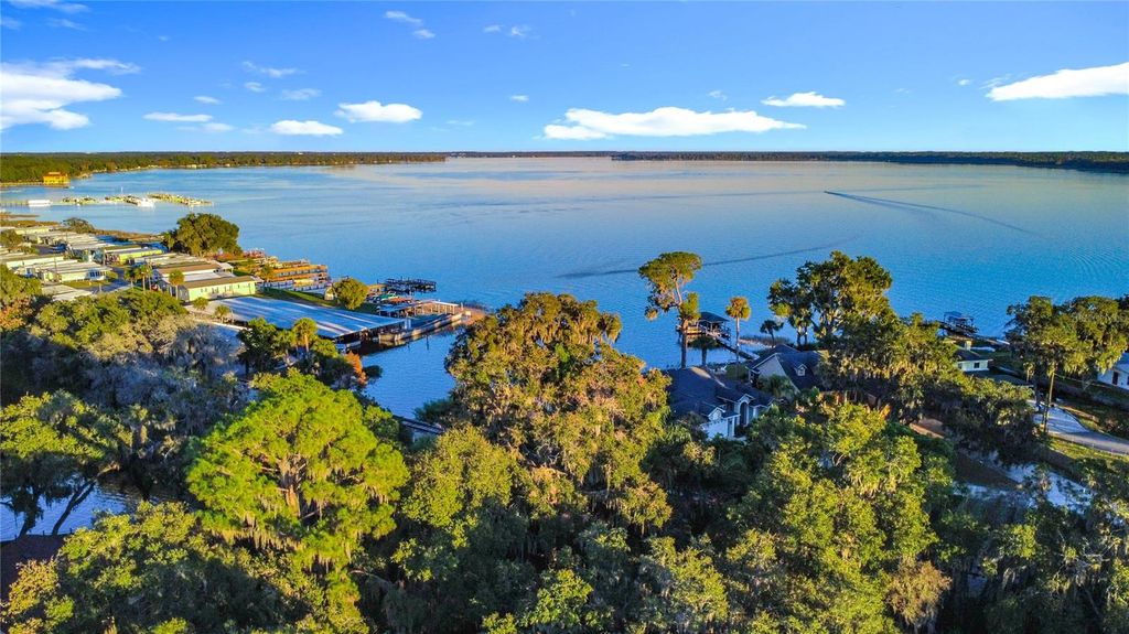 Photo of 609 Homer Street, Tavares, FL 32778 (MLS # G5105550)