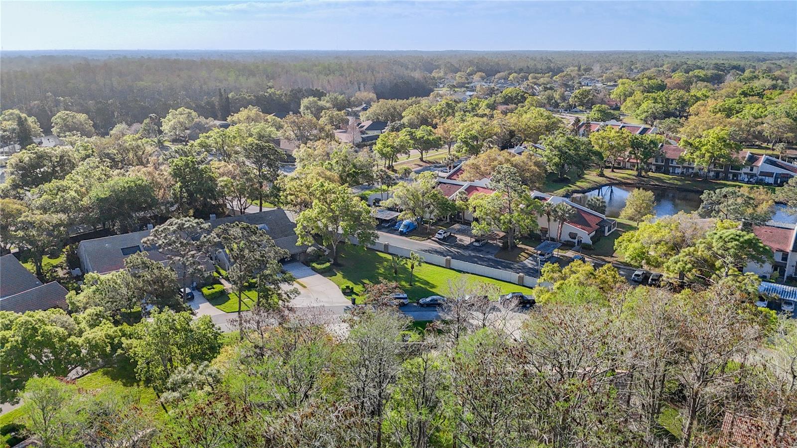 WESCOTT SQUARE - Residential
