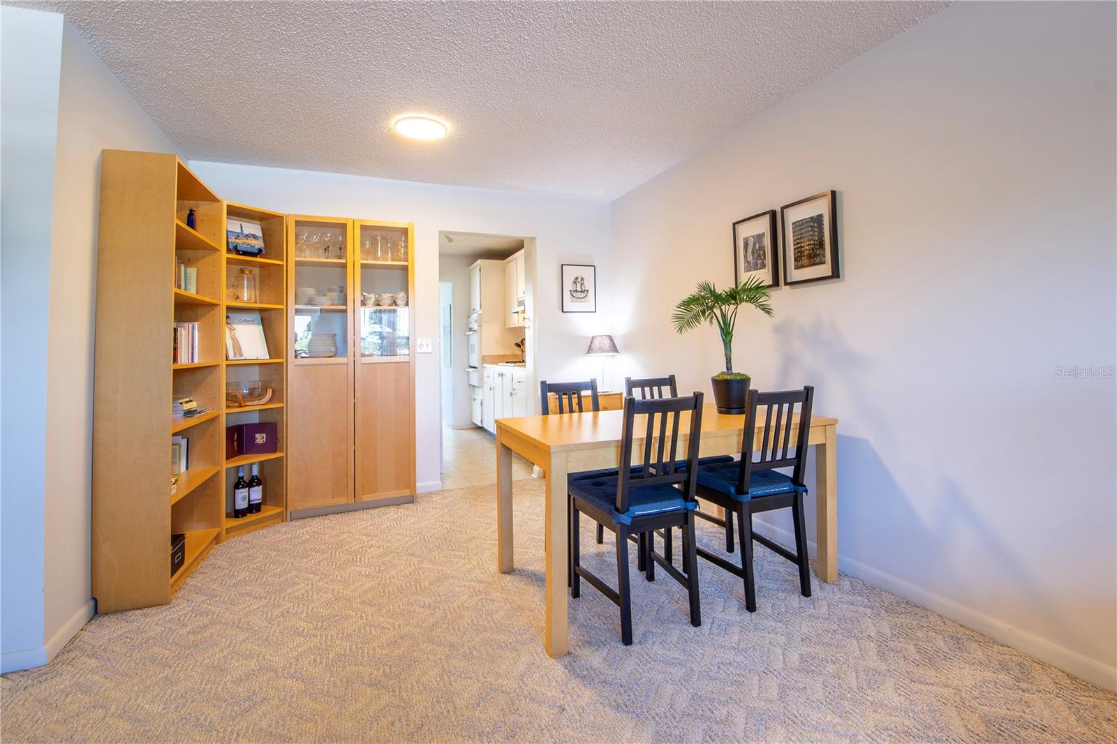 TOWN SHORES OF GULFPORT - Residential