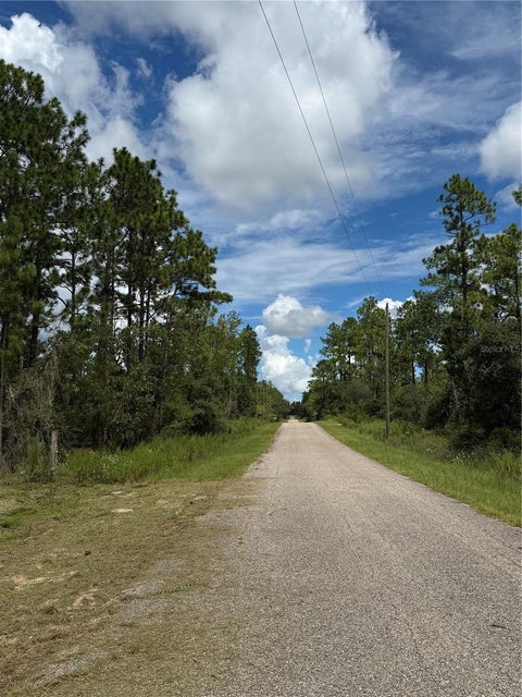 Photo of 0000 SE 139th Court, Dunnellon, FL 34431 (MLS # S5160095)